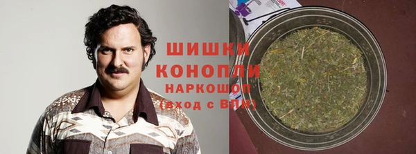 трава Белокуриха