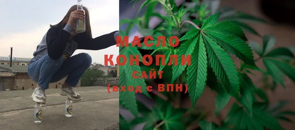 молекула духа Богданович