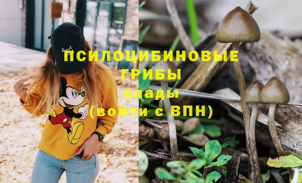 mdpv Богородицк