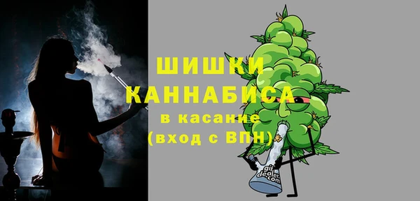 прущие грибы Белоозёрский
