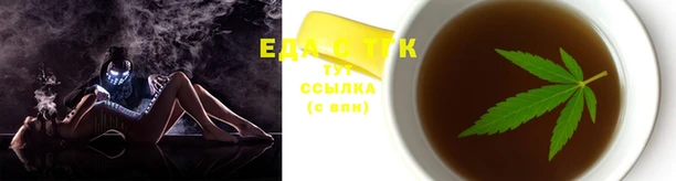 молекула духа Богданович