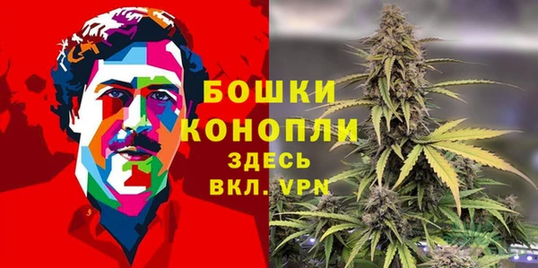 молекула духа Богданович