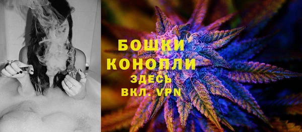 сатива Бронницы